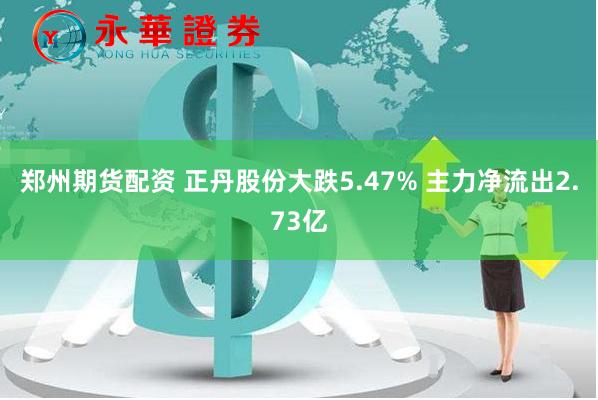 郑州期货配资 正丹股份大跌5.47% 主力净流出2.73亿