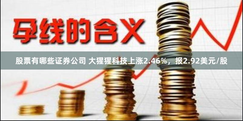 股票有哪些证券公司 大猩猩科技上涨2.46%，报2.92美元/股