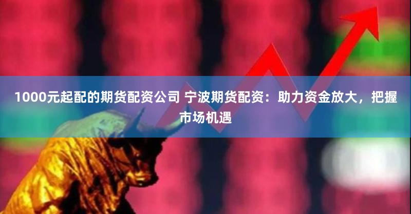 1000元起配的期货配资公司 宁波期货配资：助力资金放大，把握市场机遇