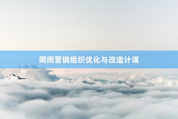 阛阓营销组织优化与改造计谋